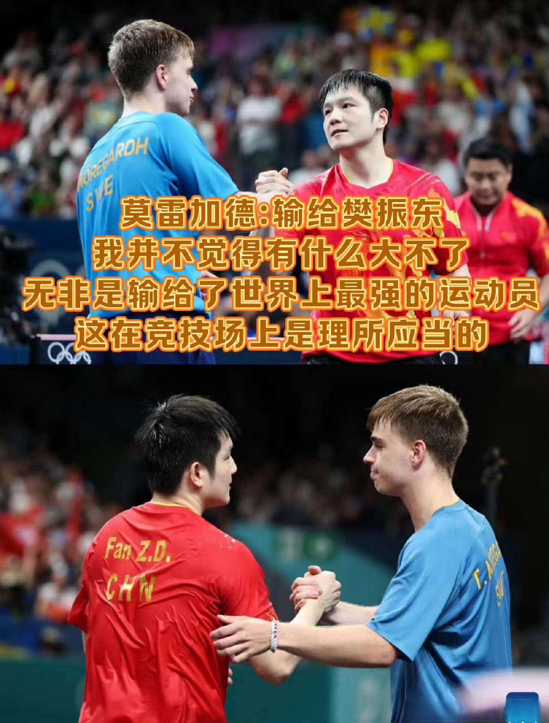 波兰队完胜瑞典队,樊振东惊艳四座 波兰队完胜瑞典队,樊振东惊艳四座