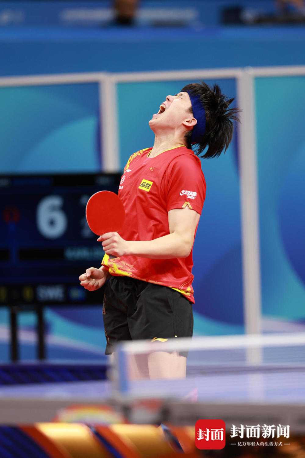 瑞典队横扫中国队，王皓状态火热