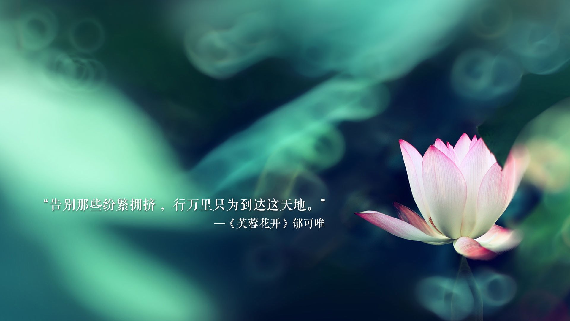 掘金铁壁锁死上海，爱德华兹全程高能引爆赛场
